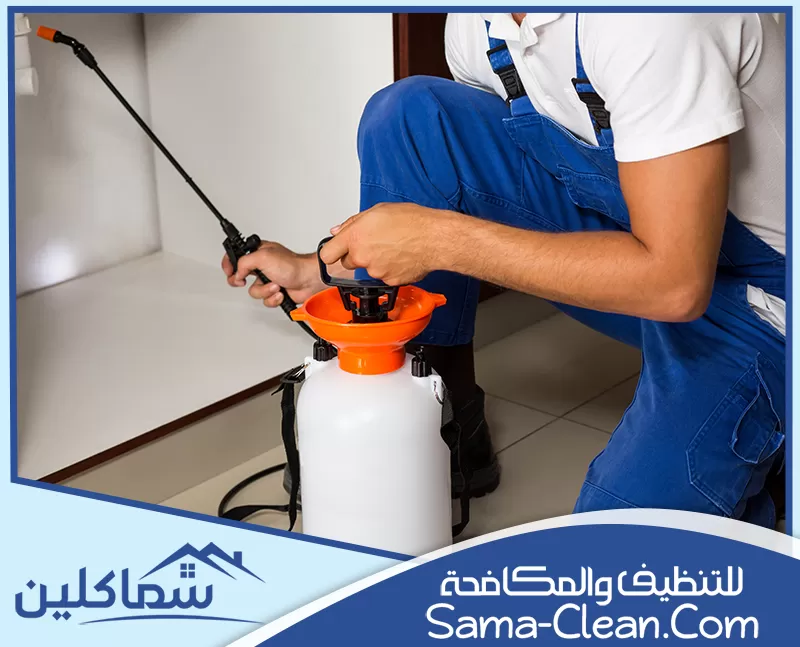 أفضل شركة مكافحة حشرات في الفجيرة