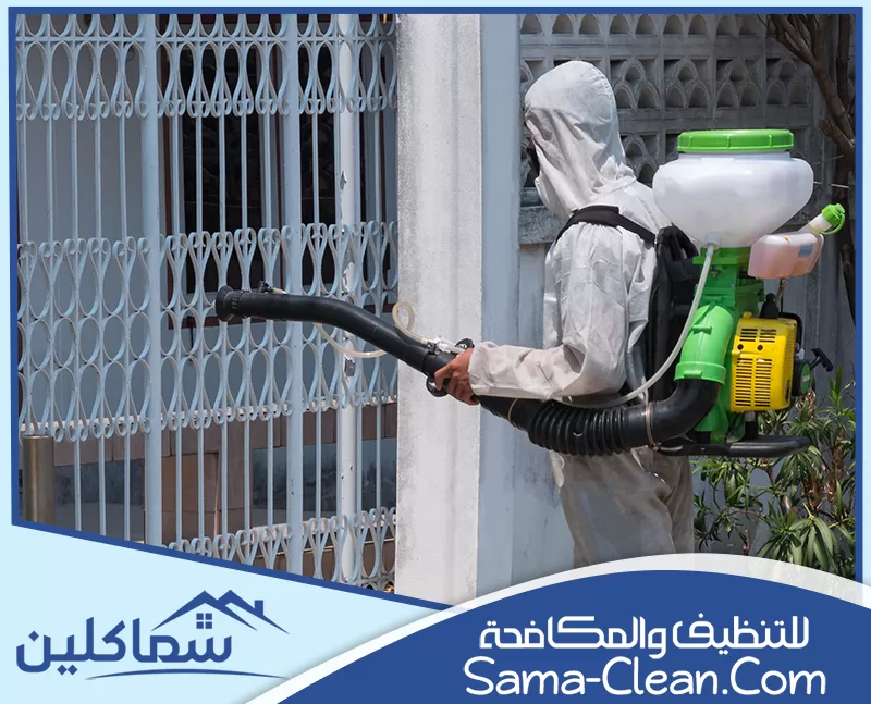 شركة مكافحة صراصير في الفجيرة