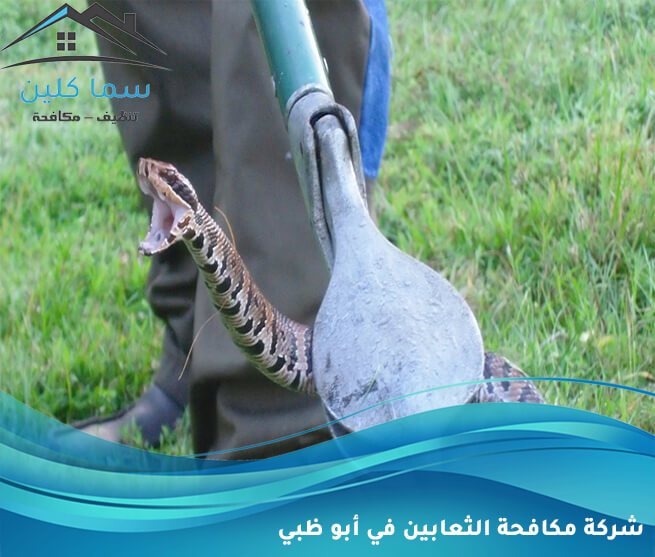 شركة مكافحة الثعابين في أبو ظبي