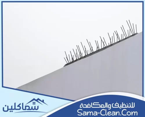 تركيب طارد الحمام في دبي تركيب طارد الحمام في دبي