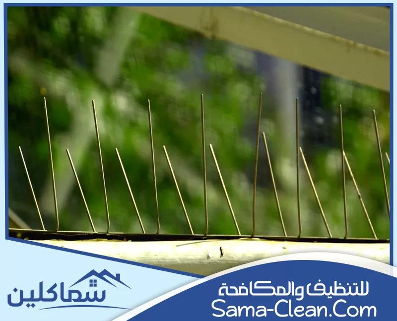 تركيب اشواك طارد الحمام في ابوظبي تركيب اشواك طارد الحمام في ابوظبي