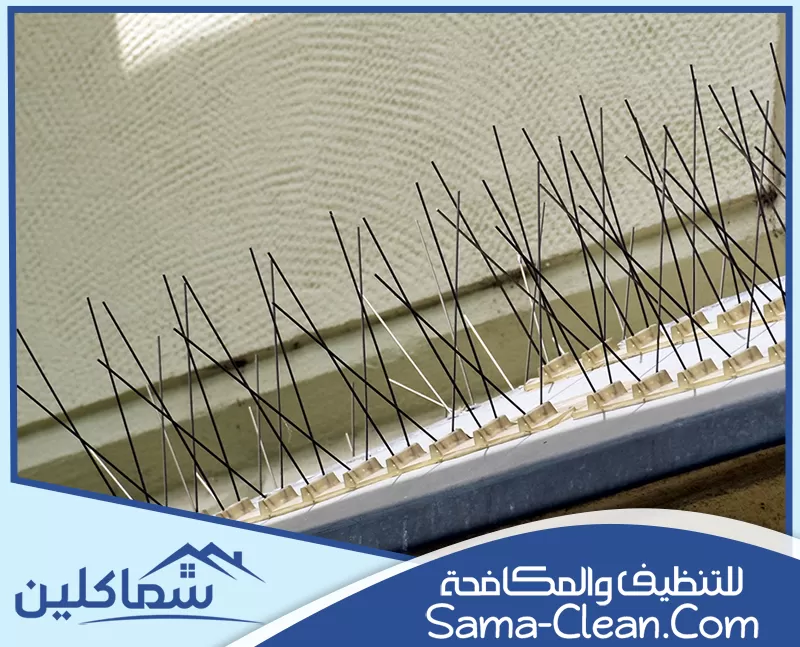 اسعار مكافحة الحمام في الامارات اسعار مكافحة الحمام في الامارات