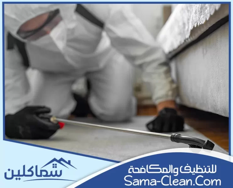 شركة مكافحة حشرات في رأس الخيمة