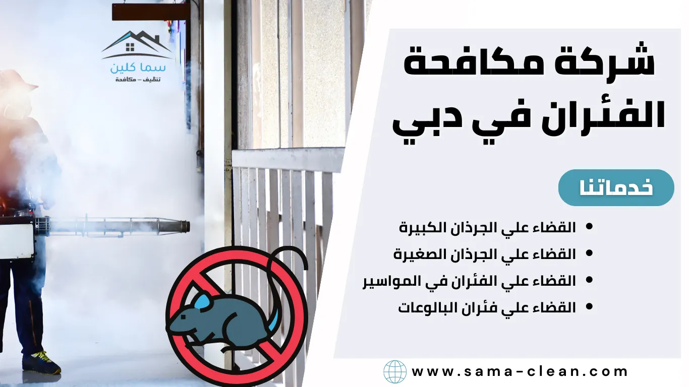 شركة مكافحة الفئران في دبي