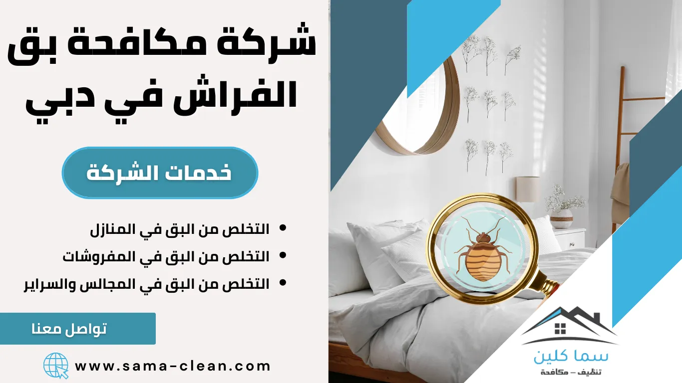 شركة مكافحة بق الفراش في دبي