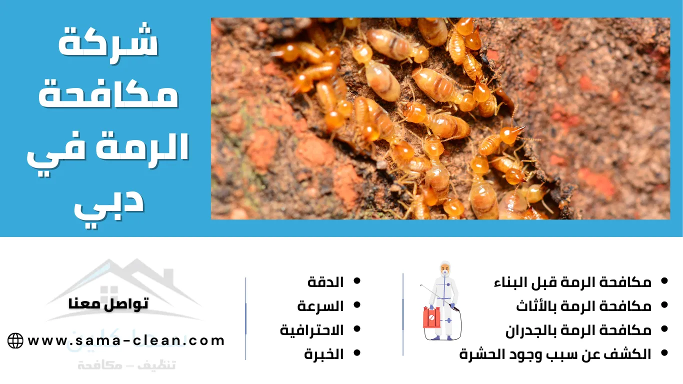 شركة مكافحة الرمة في دبي