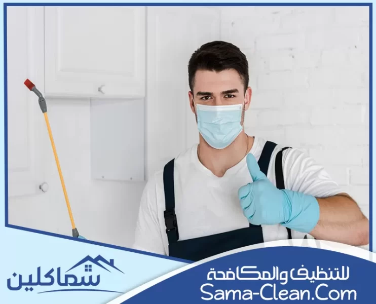 شركة مكافحة حشرات في الشارقة